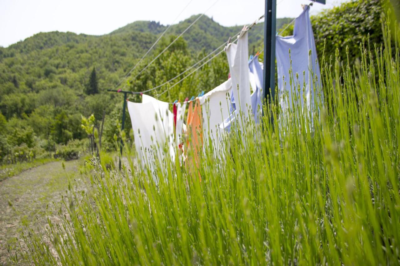 Villa Porcigliano Olive Grove Polcanto Dış mekan fotoğraf