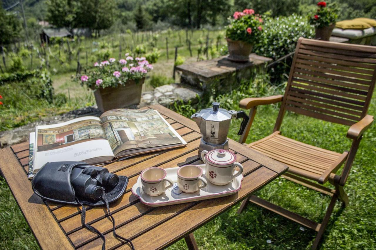 Villa Porcigliano Olive Grove Polcanto Dış mekan fotoğraf