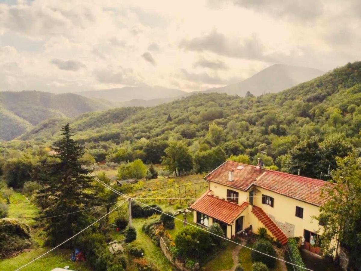 Villa Porcigliano Olive Grove Polcanto Dış mekan fotoğraf