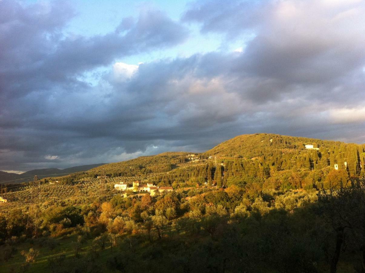 Villa Porcigliano Olive Grove Polcanto Dış mekan fotoğraf